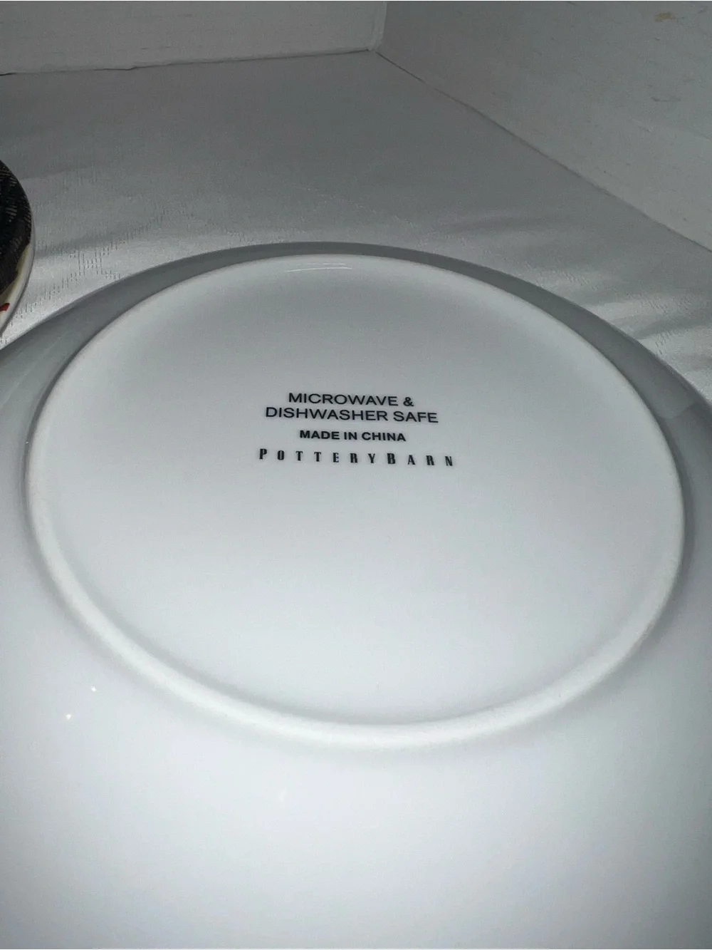 🔥🔥🔥 Pottery Barn Coastal Curiosity Salad/Dessert Plates Red Coral Seashells Set